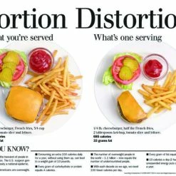 Visualz Portion Distortion Handouts, 2-Sided, 50 Sheets