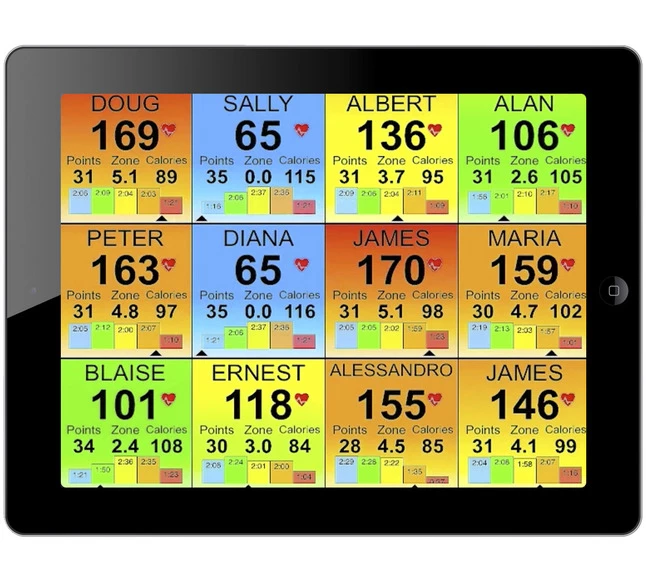 Heart Zones Dual Bridge 5 Heart Zones Dual Bridge - Image 3