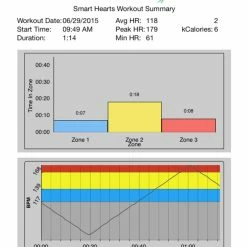Heart Zones Dual Bridge 9 Heart Zones Dual Bridge -Physical Education Resources shop 1539554 B ecommfullsize