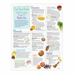 Visualz Kids Healthy Head To Toe Handout -Physical Education Resources shop 1572034 C ecommfullsize