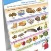 Sportime MyPlate Food Groups Flip Charts, Grades 1 To 4, Set Of 10 -Physical Education Resources shop 2013484 A ecommfullsize