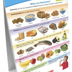 Sportime MyPlate Food Groups Flip Charts, Grades 1 To 4, Set Of 10