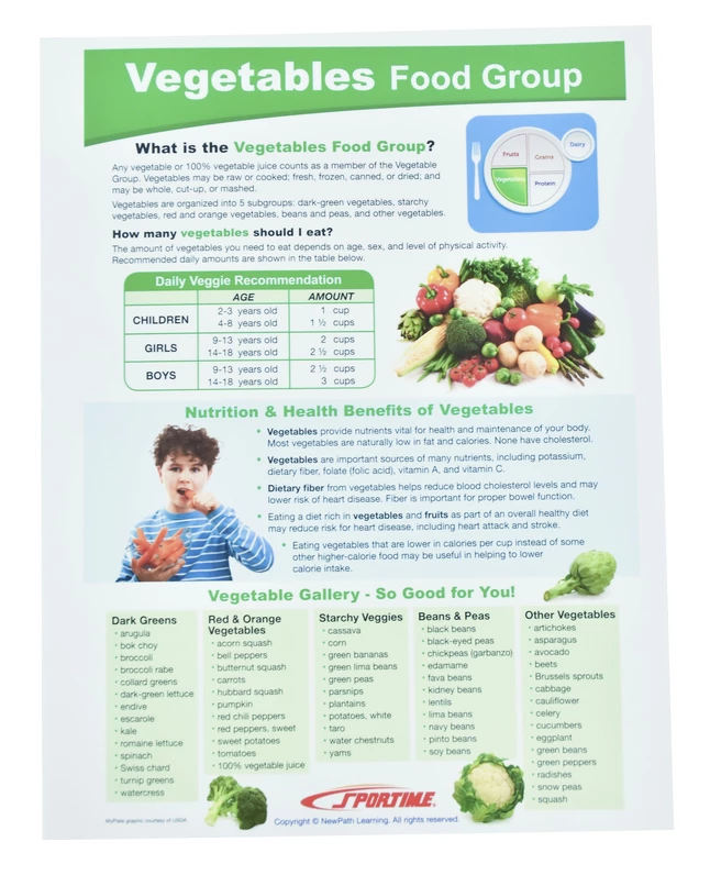 Sportime MyPlate Food & Nutrition Visual Learning Guides, Grade 5 To 9, Set Of 10 5 Sportime MyPlate Food & Nutrition Visual Learning Guides, Grade 5 To 9, Set Of 10 - Image 3