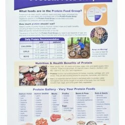 Sportime MyPlate Food & Nutrition Visual Learning Guides, Grade 5 To 9, Set Of 10 13 Sportime MyPlate Food & Nutrition Visual Learning Guides, Grade 5 To 9, Set Of 10 -Physical Education Resources shop 2013489 G ecommfullsize
