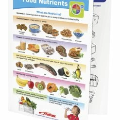 Sportime Food Nutrients Visual Learning Guide, 4 Pages, Grades 1 To 4 -Physical Education Resources shop 2013491 C ecommfullsize
