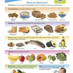 Sportime Food Nutrients Visual Learning Guide, 4 Pages, Grades 1 To 4 -Physical Education Resources shop 2013491 D ecommfullsize