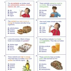 Sportime Food Nutrients Visual Learning Guide, 4 Pages, Grades 1 To 4 -Physical Education Resources shop 2013491 E ecommfullsize