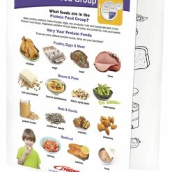 Sportime Protein Food Group Visual Learning Guide, 4 Pages, Grades 1 To 4