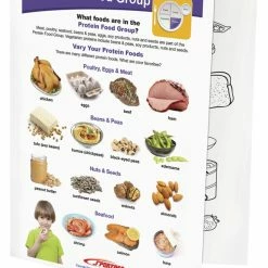 Sportime Protein Food Group Visual Learning Guide, 4 Pages, Grades 1 To 4 -Physical Education Resources shop 2013495 B ecommfullsize
