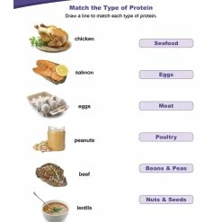 Sportime Protein Food Group Visual Learning Guide, 4 Pages, Grades 1 To 4 -Physical Education Resources shop 2013495 C ecommfullsize