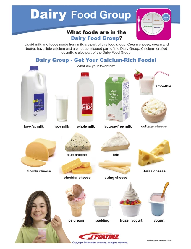 Sportime Dairy Food Group Visual Learning Guide, 4 Pages, Grades 1 To 4 4 Sportime Dairy Food Group Visual Learning Guide, 4 Pages, Grades 1 To 4 - Image 2
