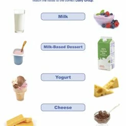 Sportime Dairy Food Group Visual Learning Guide, 4 Pages, Grades 1 To 4 9 Sportime Dairy Food Group Visual Learning Guide, 4 Pages, Grades 1 To 4 -Physical Education Resources shop 2013498 D ecommfullsize