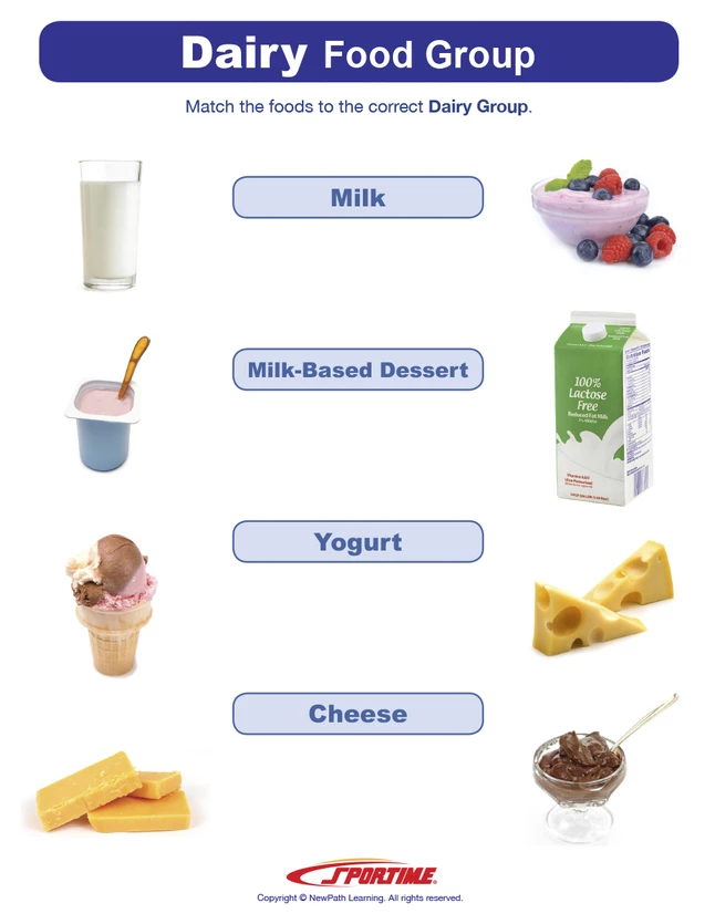 Sportime Dairy Food Group Visual Learning Guide, 4 Pages, Grades 1 To 4 5 Sportime Dairy Food Group Visual Learning Guide, 4 Pages, Grades 1 To 4 - Image 3