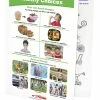 Sportime Making Healthy Choices Visual Learning Guide, 4 Pages, Grades 1 To 4 -Physical Education Resources shop 2013500 A ecommfullsize