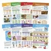 Sportime MyPlate Bulletin Board Chart Set, Grades 5 To 9, 8 Pieces 2 Sportime MyPlate Bulletin Board Chart Set, Grades 5 To 9, 8 Pieces -Physical Education Resources shop 2013501 A ecommfullsize