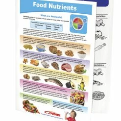 Sportime Food Nutrients Visual Learning Guide, 4 Pages, Grades 5 To 9