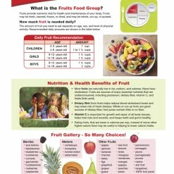 Sportime Fruits Food Group Visual Learning Guide, 4 Pages, Grades 5 To 9 -Physical Education Resources shop 2013504 B ecommfullsize