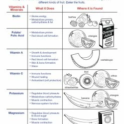 Sportime Fruits Food Group Visual Learning Guide, 4 Pages, Grades 5 To 9 -Physical Education Resources shop 2013504 D ecommfullsize