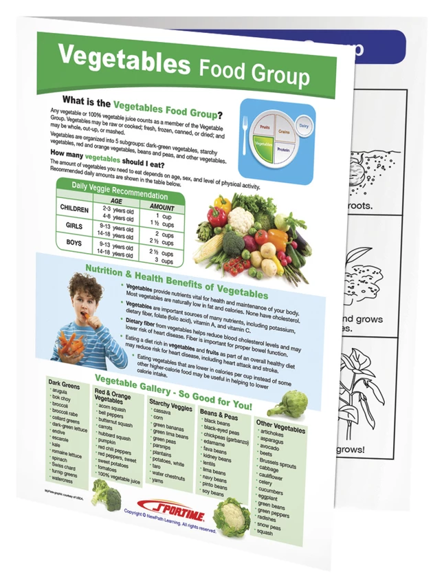 Sportime Vegetables Food Group Visual Learning Guide, 4 Pages, Grades 5 To 9 3 Sportime Vegetables Food Group Visual Learning Guide, 4 Pages, Grades 5 To 9