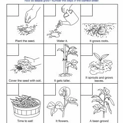 Sportime Vegetables Food Group Visual Learning Guide, 4 Pages, Grades 5 To 9 11 Sportime Vegetables Food Group Visual Learning Guide, 4 Pages, Grades 5 To 9 -Physical Education Resources shop 2013505 D ecommfullsize