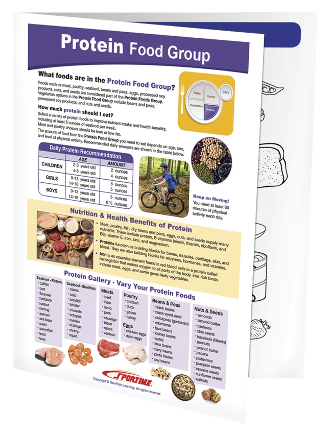 Sportime Protein Food Group Visual Learning Guide, 4 Pages, Grades 5 To 9 3 Sportime Protein Food Group Visual Learning Guide, 4 Pages, Grades 5 To 9