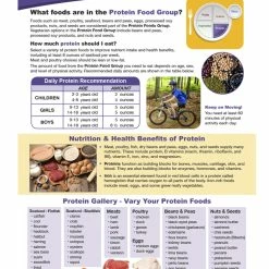 Sportime Protein Food Group Visual Learning Guide, 4 Pages, Grades 5 To 9 10 Sportime Protein Food Group Visual Learning Guide, 4 Pages, Grades 5 To 9 -Physical Education Resources shop 2013506 B ecommfullsize