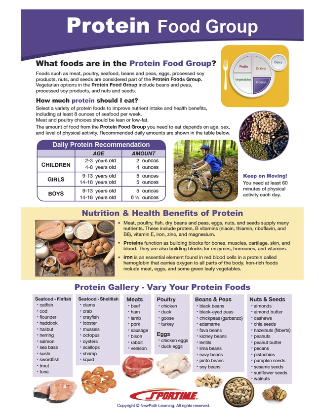 Sportime Protein Food Group Visual Learning Guide, 4 Pages, Grades 5 To 9 6 Sportime Protein Food Group Visual Learning Guide, 4 Pages, Grades 5 To 9 - Image 4