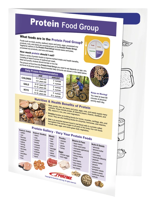 Sportime Protein Food Group Visual Learning Guide, 4 Pages, Grades 5 To 9 5 Sportime Protein Food Group Visual Learning Guide, 4 Pages, Grades 5 To 9 - Image 3