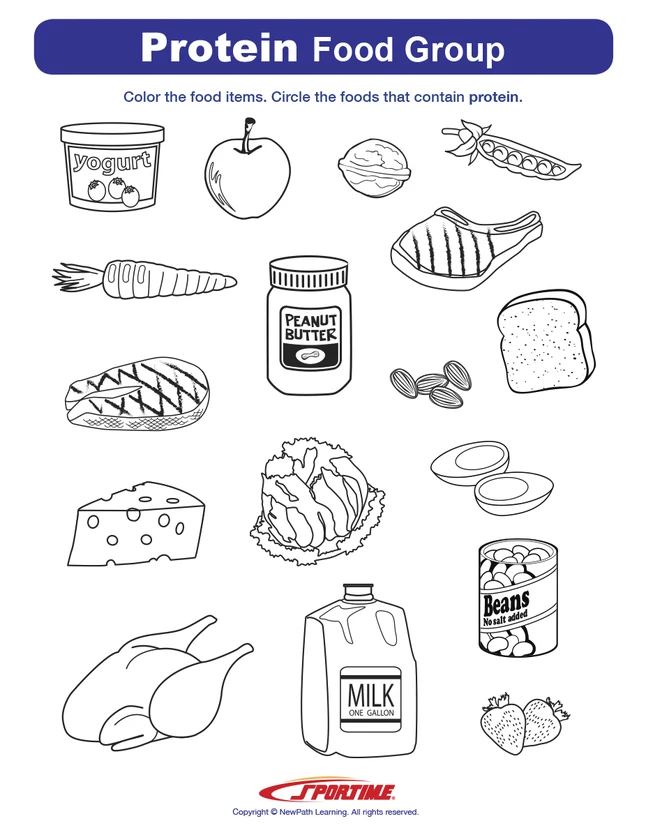 Sportime Protein Food Group Visual Learning Guide, 4 Pages, Grades 5 To 9 7 Sportime Protein Food Group Visual Learning Guide, 4 Pages, Grades 5 To 9 - Image 5