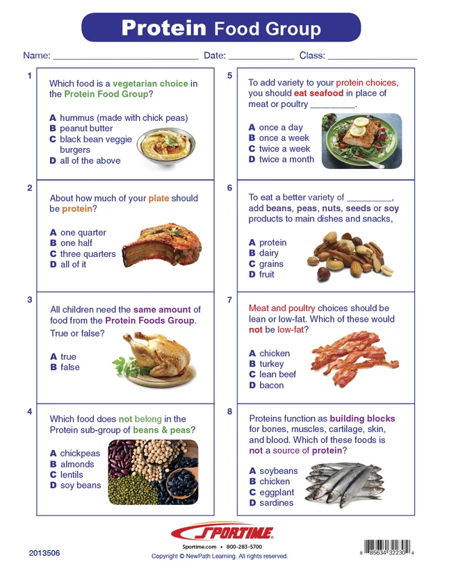 Sportime Protein Food Group Visual Learning Guide, 4 Pages, Grades 5 To 9 4 Sportime Protein Food Group Visual Learning Guide, 4 Pages, Grades 5 To 9 - Image 2