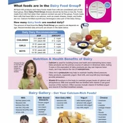 Sportime Dairy Food Group Visual Learning Guide, 4 Pages, Grades 5 To 9 -Physical Education Resources shop 2013507 B ecommfullsize