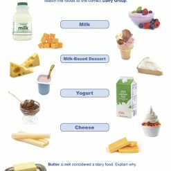Sportime Dairy Food Group Visual Learning Guide, 4 Pages, Grades 5 To 9 -Physical Education Resources shop 2013507 D ecommfullsize