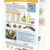 Sportime Oils & Fat Visual Learning Guide, 4 Pages, Grades 5 To 9 -Physical Education Resources shop 2013509 A ecommfullsize