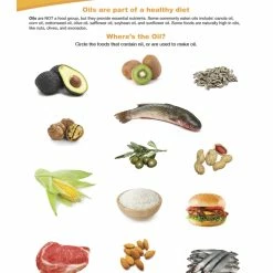 Sportime Oils & Fat Visual Learning Guide, 4 Pages, Grades 5 To 9 -Physical Education Resources shop 2013509 C ecommfullsize