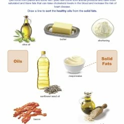 Sportime Oils & Fat Visual Learning Guide, 4 Pages, Grades 5 To 9 -Physical Education Resources shop 2013509 D ecommfullsize