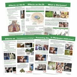 Sportime All About Marijuana Bulletin Board Charts, Set Of 7, Grades 5 To 12