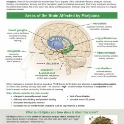 Sportime All About Marijuana Bulletin Board Charts, Set Of 7, Grades 5 To 12 -Physical Education Resources shop 2041468 C ecommfullsize