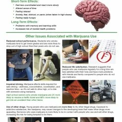 Sportime All About Marijuana Bulletin Board Charts, Set Of 7, Grades 5 To 12 -Physical Education Resources shop 2041468 E ecommfullsize