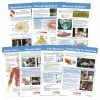 Sportime All About Opioid Drugs Bulletin Board Charts, Set Of 7, Grades 5 To 12 -Physical Education Resources shop 2041471 A ecommfullsize