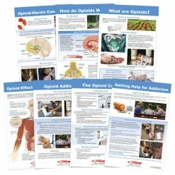 Sportime All About Opioid Drugs Bulletin Board Charts, Set Of 7, Grades 5 To 12
