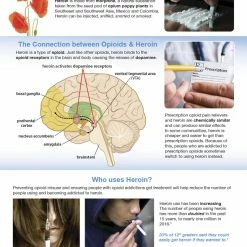 Sportime All About Opioid Drugs Bulletin Board Charts, Set Of 7, Grades 5 To 12 -Physical Education Resources shop 2041471 E ecommfullsize