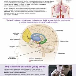 Sportime Effects Of Smoking And Vaping Bulletin Board Charts, Set Of 6, Grades 5 To 12 -Physical Education Resources shop 2041472 C ecommfullsize