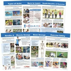Sportime Exercise Facts Bulletin Board Charts, Set Of 7, Grades 5 To 12
