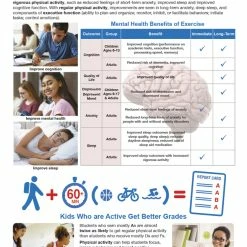 Sportime Exercise Facts Bulletin Board Charts, Set Of 7, Grades 5 To 12 -Physical Education Resources shop 2041473 C ecommfullsize