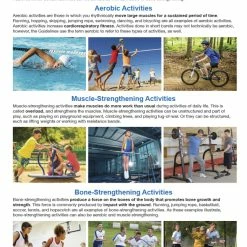 Sportime Exercise Facts Bulletin Board Charts, Set Of 7, Grades 5 To 12 -Physical Education Resources shop 2041473 D ecommfullsize