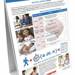 Sportime Exercise Facts Flip Chart Set, Grades 5 To 12