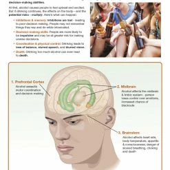 Sportime Alcohol Abuse And Addiction Bulletin Board Charts, Set Of 7, Grades 5 To 12 10 Sportime Alcohol Abuse And Addiction Bulletin Board Charts, Set Of 7, Grades 5 To 12 -Physical Education Resources shop 2041477 C ecommfullsize