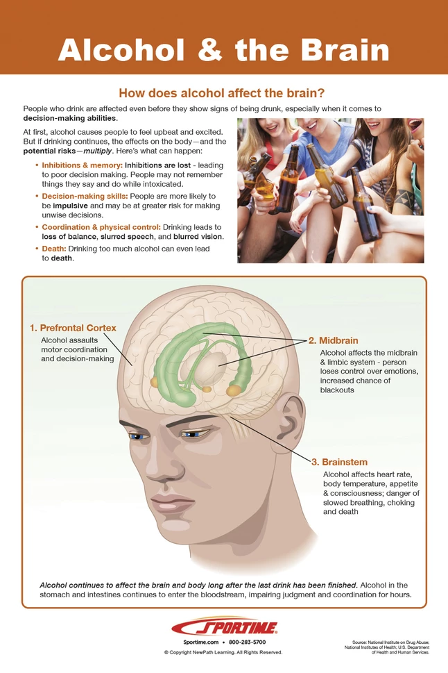 Sportime Alcohol Abuse And Addiction Bulletin Board Charts, Set Of 7, Grades 5 To 12 5 Sportime Alcohol Abuse And Addiction Bulletin Board Charts, Set Of 7, Grades 5 To 12 - Image 3