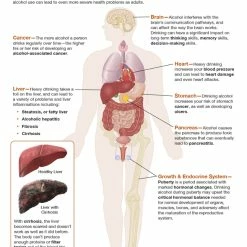 Sportime Alcohol Abuse And Addiction Bulletin Board Charts, Set Of 7, Grades 5 To 12 11 Sportime Alcohol Abuse And Addiction Bulletin Board Charts, Set Of 7, Grades 5 To 12 -Physical Education Resources shop 2041477 D ecommfullsize