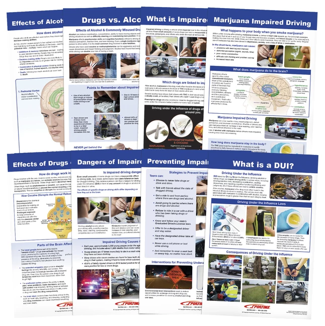 Sportime Impaired Driving Bulletin Board Charts, Set Of 8, Grades 5 To 12 3 Sportime Impaired Driving Bulletin Board Charts, Set Of 8, Grades 5 To 12